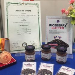 Square_0006_Picture4